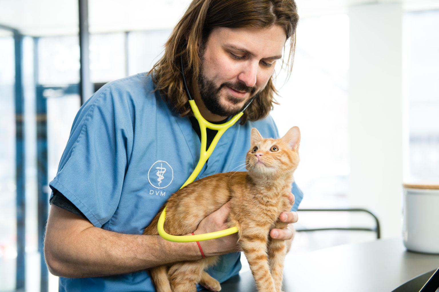 Primary Care for Pets Atlas Vet in Washington, DC